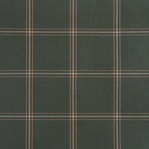 Green Windowpane Plaid Euro Sham