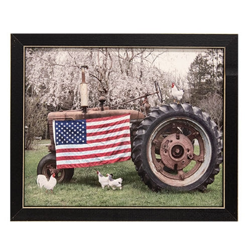 Country Pride Framed Print