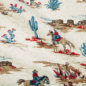 Desert Trail Reversible Quilt Set