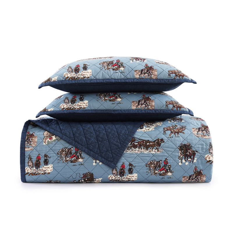 Settler Quilt Set