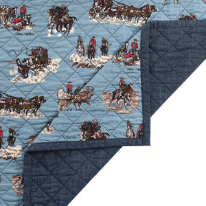 Settler Quilt Set