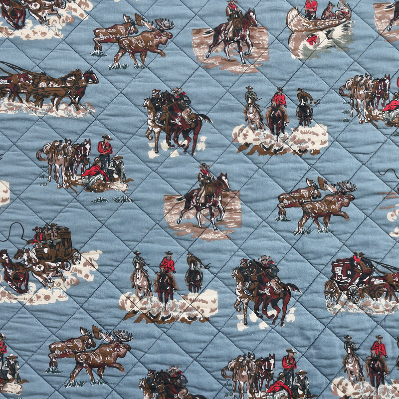 Settler Quilt Set