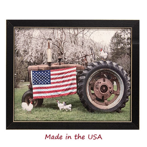Country Pride Framed Print