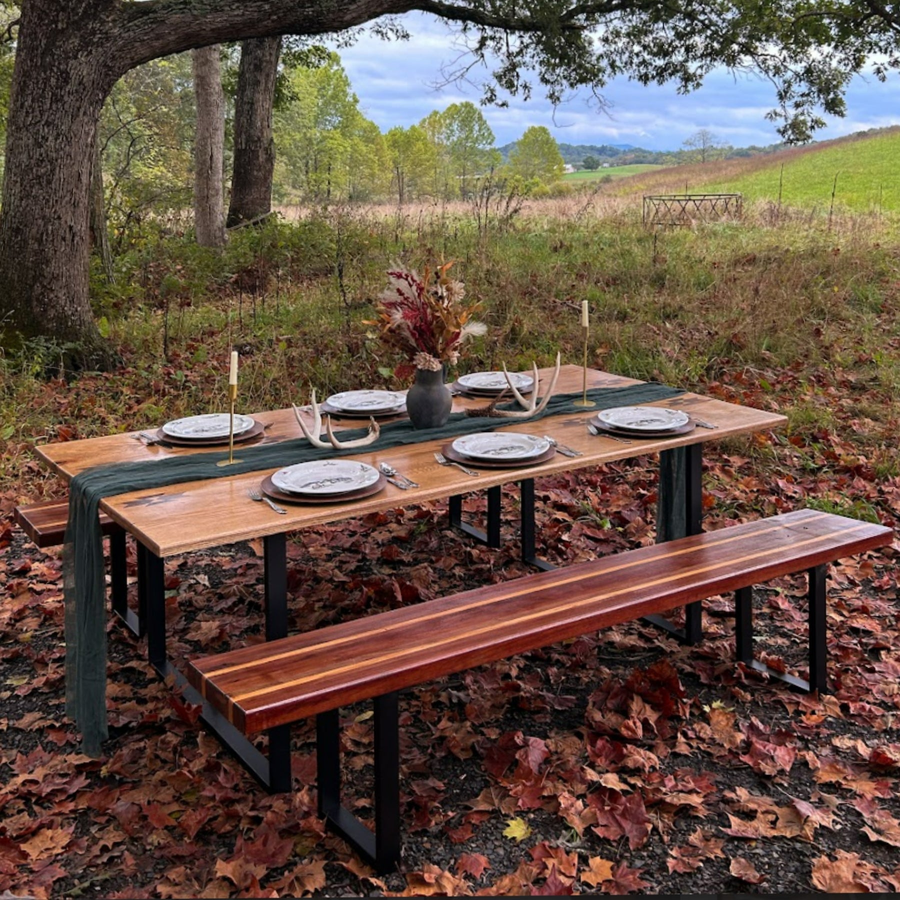 Ranch Life 16 Piece Ceramic Dinnerware Set - Multicolor